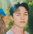 Vernon
